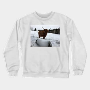 Scottish Highland Cattle Cow 2268 Crewneck Sweatshirt